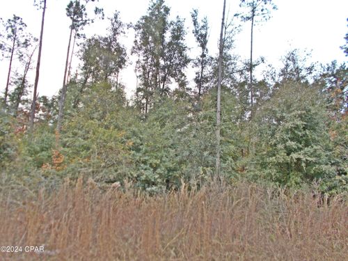 00 Green Rd, Greenwood, FL, 32443 | Card Image