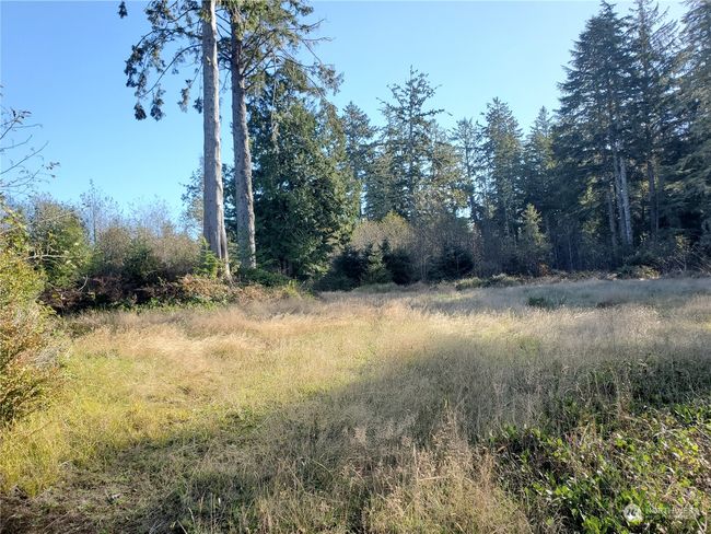 36602 Stackpole Rd, Home with 0 bedrooms, 0 bathrooms and null parking in Oysterville WA | Image 15