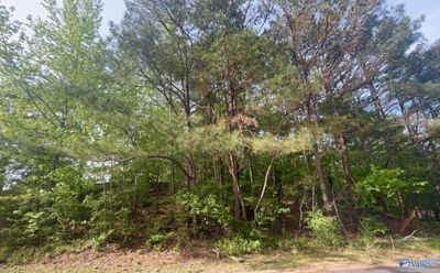 Lot 36 Hickory Avenue, Home with 0 bedrooms, 0 bathrooms and null parking in Haleyville AL | Image 3