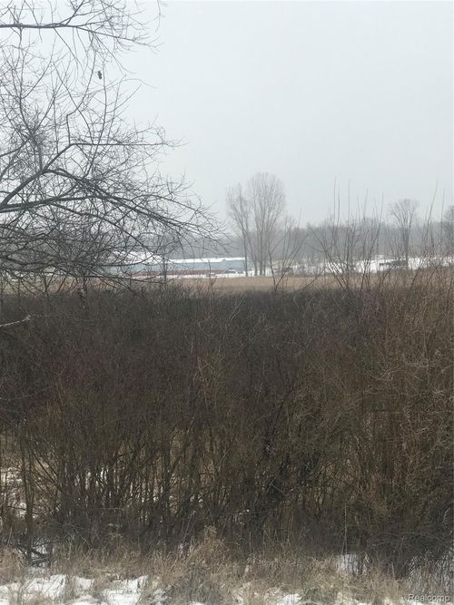 VL Hinchey Road, Putnam Township, MI, 48169 | Card Image