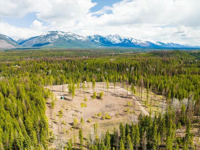 Two sides Forest Service | Image 31