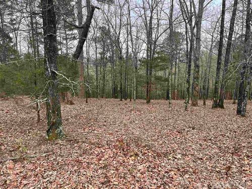 Lot 4 Diamond Bluff Rd, Quitman, AR, 72131-9863 | Card Image