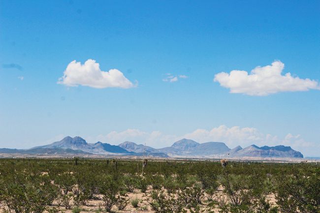Mountain view | Image 18