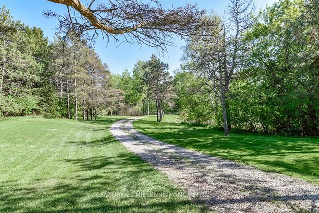 248504 5 Sideroad, House other with 3 bedrooms, 3 bathrooms and 18 parking in Mono ON | Image 7