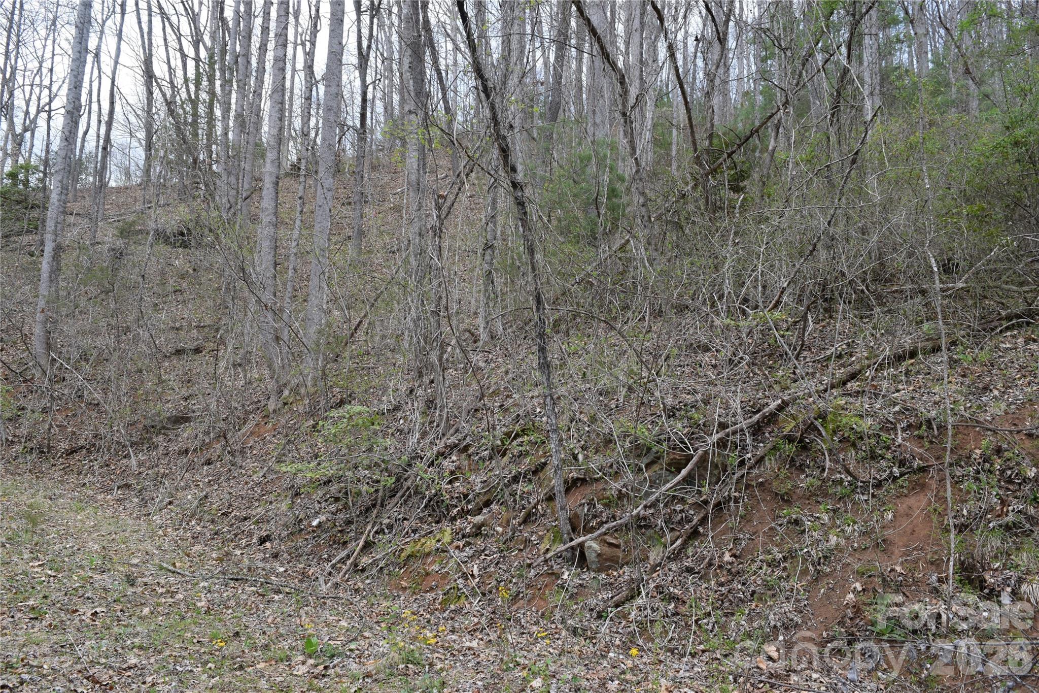Land in Cullowhee 2