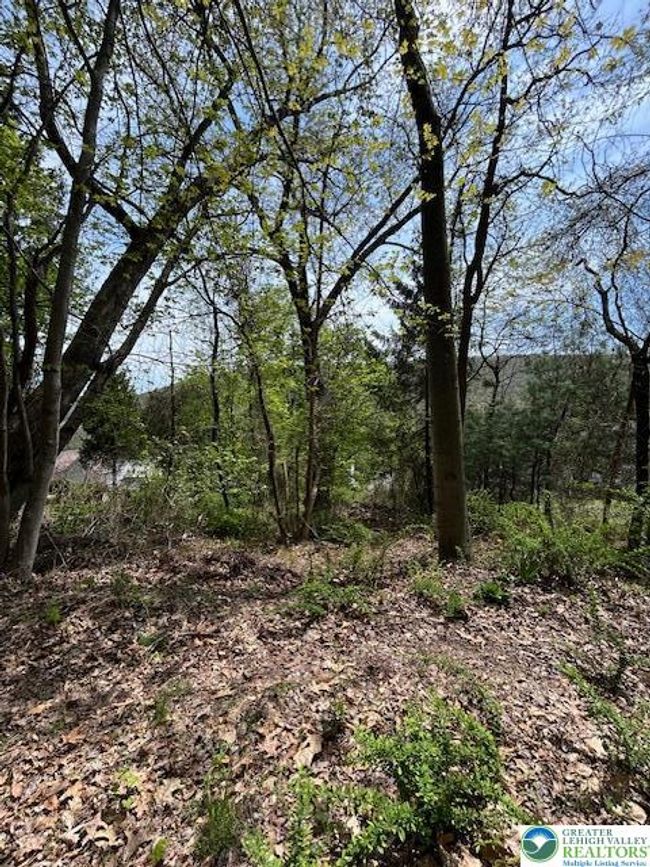 732 Center Ave, House other with 0 bedrooms, 0 bathrooms and null parking in Jim Thorpe PA | Image 5