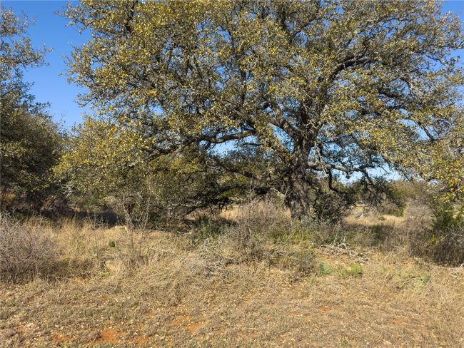 LOT 20 STREET LEVEL | Image 27