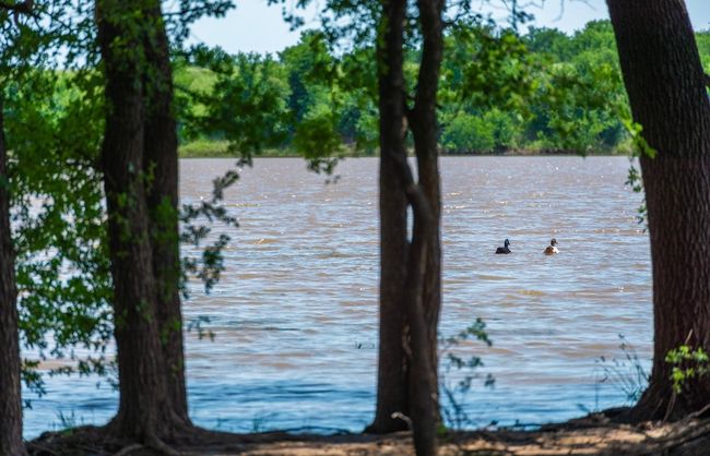 Water view | Image 27
