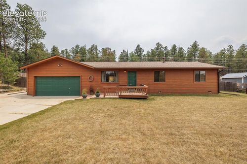 107 Glovers Ln, Woodland Park, CO, 80863-8378 | Card Image