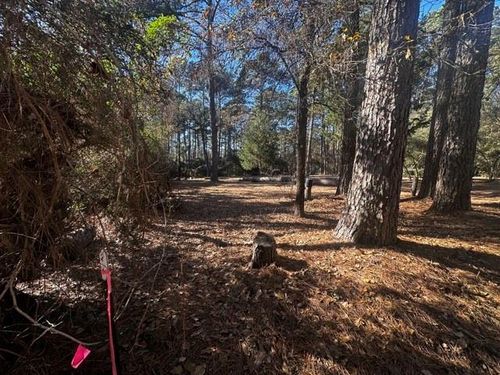 41 Cherokee Ln, Hempstead, TX, 77445 | Card Image