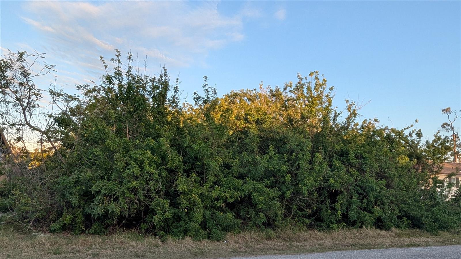 Land in PORT CHARLOTTE 5