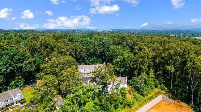 17 Jefferson Village Dr, Townhouse with 2 bedrooms, 2 bathrooms and null parking in Forest VA | Image 28