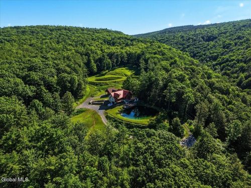 165 Vaughn Hill Rd, Middleburgh, NY, 12122-4324 | Card Image
