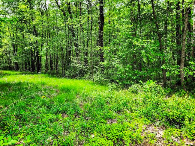 0 Highway 31 N, Home with 0 bedrooms, 0 bathrooms and null parking in Henryville IN | Image 5