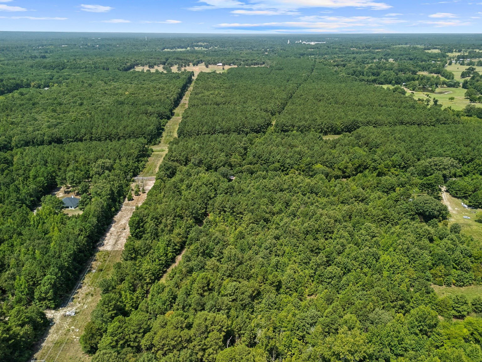Land in Big Sandy 3