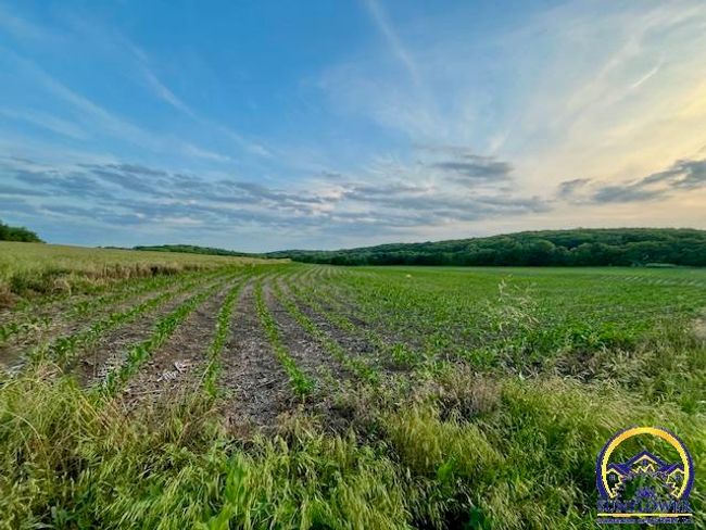 10.01 Acres M/L N 800 Rd, Home with 0 bedrooms, 0 bathrooms and null parking in Baldwin City KS | Image 10