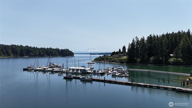 19789 Erickson Rd Sw, Home with 0 bedrooms, 0 bathrooms and null parking in Longbranch WA | Image 9