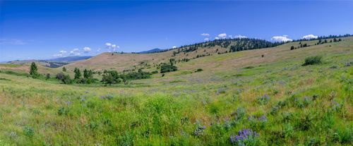 4815 Glen Eagle Way, Missoula, MT, 59808 | Card Image