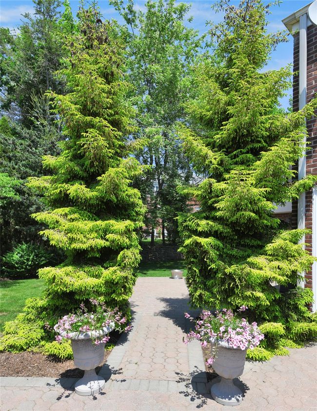 View of surrounding community | Image 20
