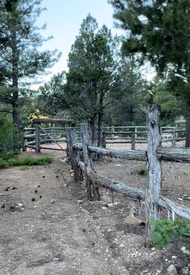 View of yard | Image 10