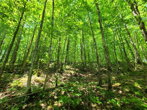 20acres-ON Defer Rd N, Hurley, WI, 54534 | Card Image