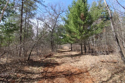 37441 Darsnek Rd, Emily, MN, 56447 | Card Image