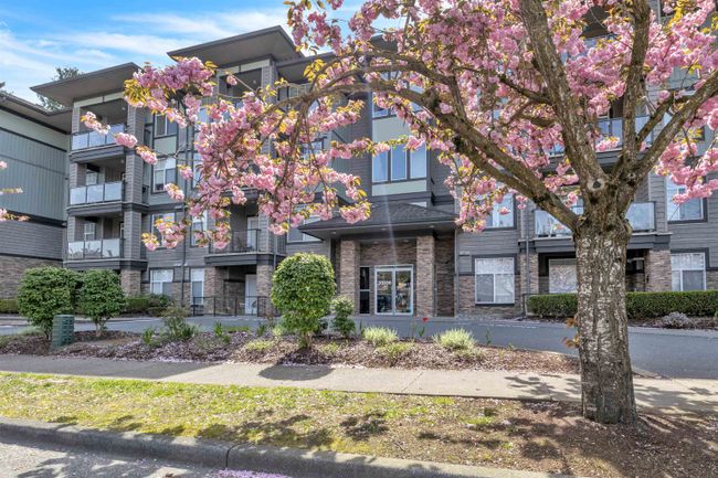 308 - 33338 Mayfair Avenue, Condo with 2 bedrooms, 2 bathrooms and 1 parking in Abbotsford BC | Image 1