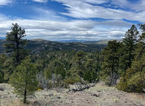 100 Dryfork Ln, Cascade, MT, 59421-8492 | Card Image