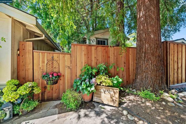 Backyard Entrance | Image 28