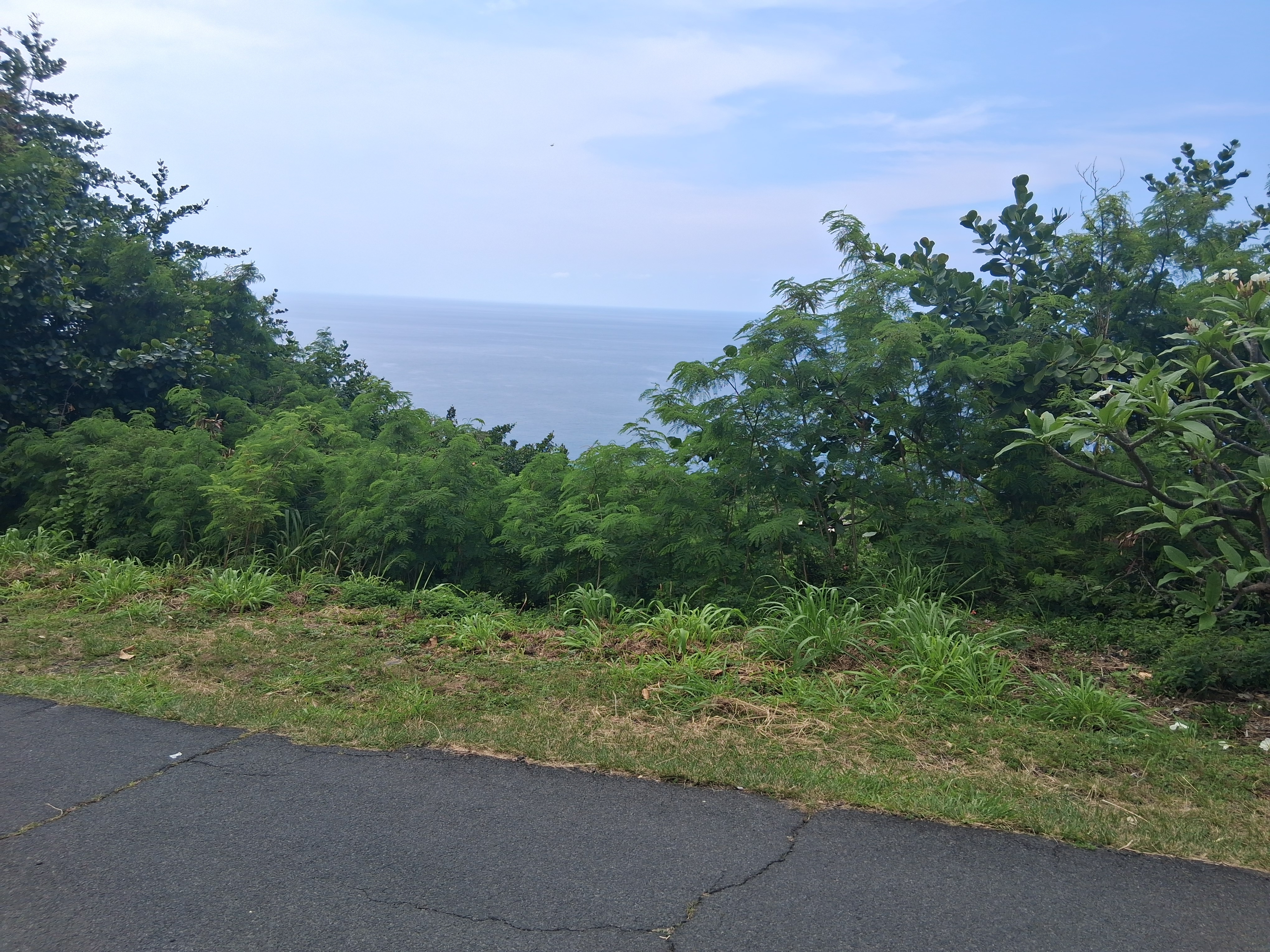 Land in Captain Cook 3