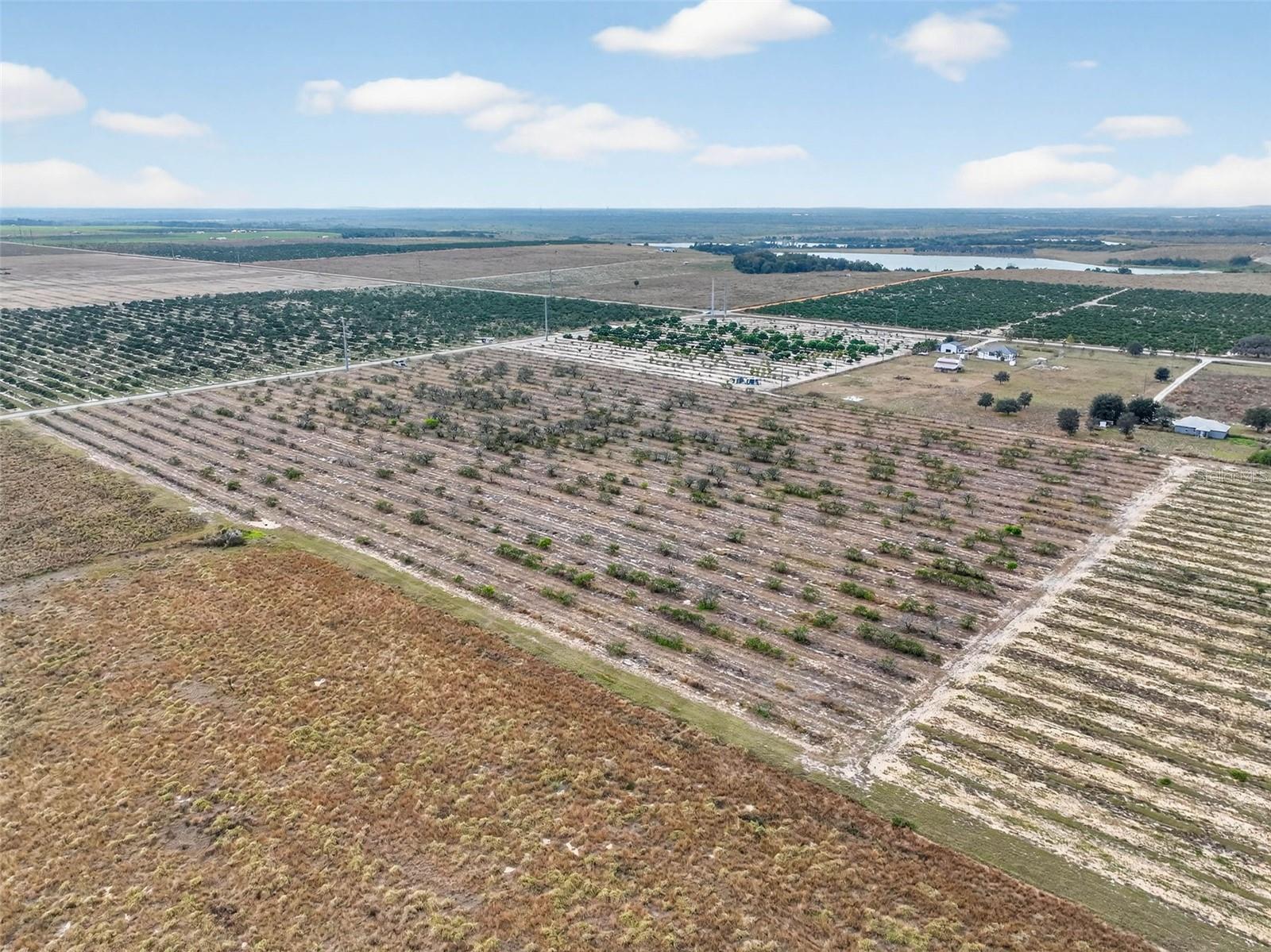 Land in BARTOW 4