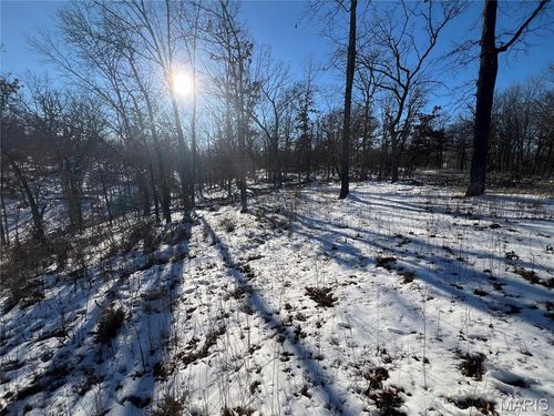 000 Partridge Dr, Climax Springs, MO, 65324 | Card Image