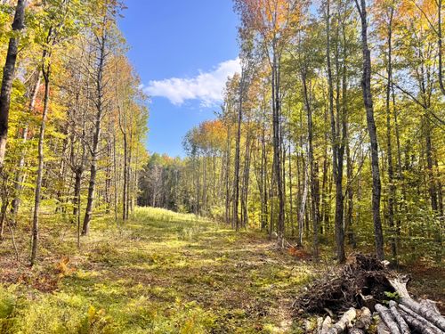 192 Mountain Road, Raymond, ME, 04071 | Card Image