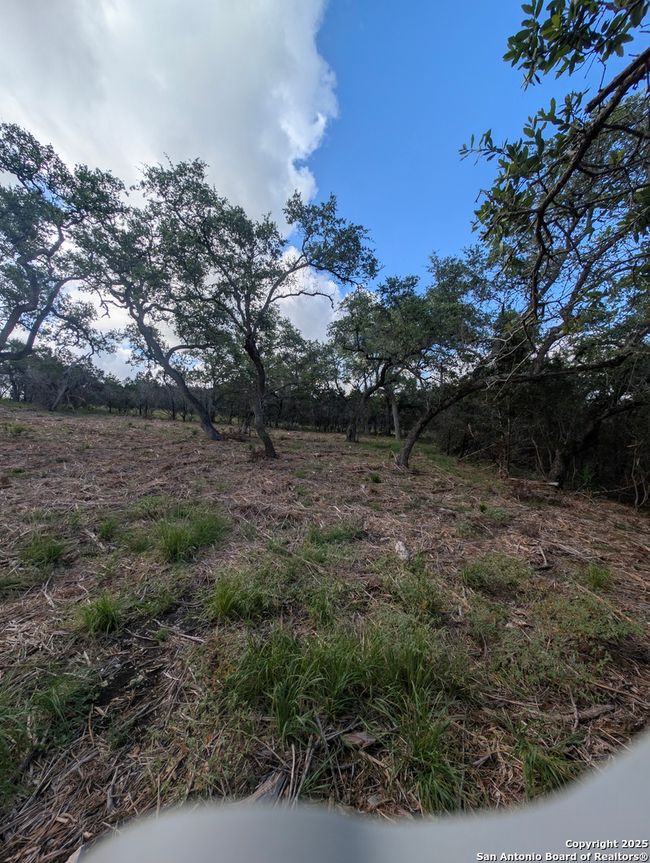 972 Serene Park Dr, Home with 0 bedrooms, 0 bathrooms and null parking in Spring Branch TX | Image 7