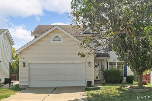 2701 Brookmeadow Dr, Belleville, IL, 62221-7116 | Card Image