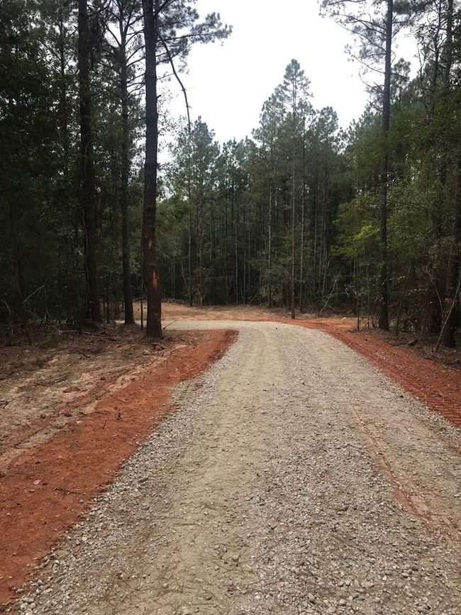 00 Burgetown Rd, Home with 0 bedrooms, 0 bathrooms and null parking in Carriere MS | Image 5
