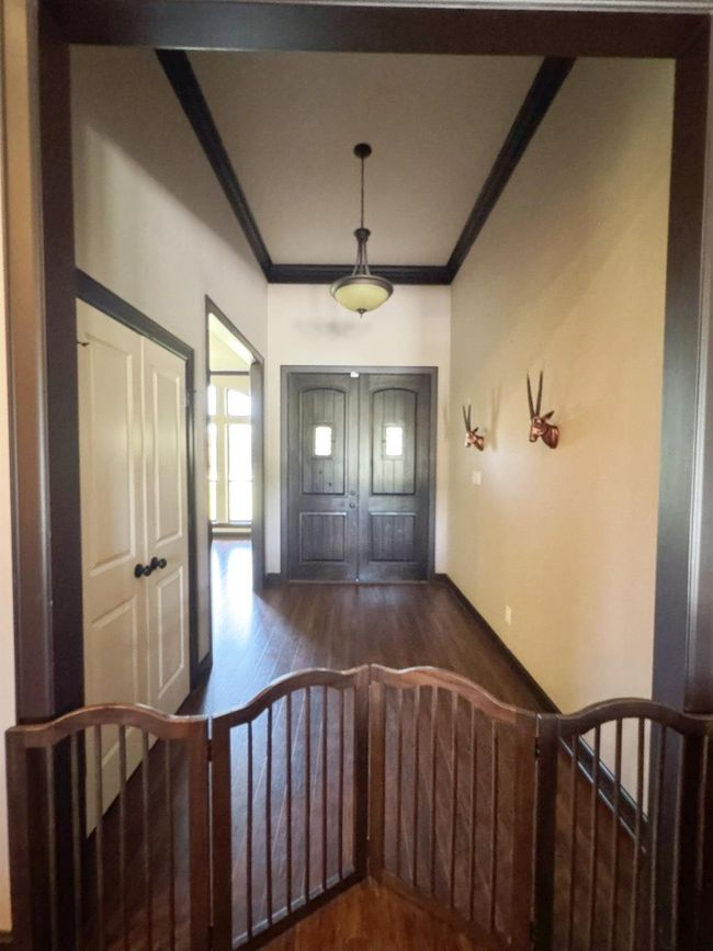 Entry | Image 4