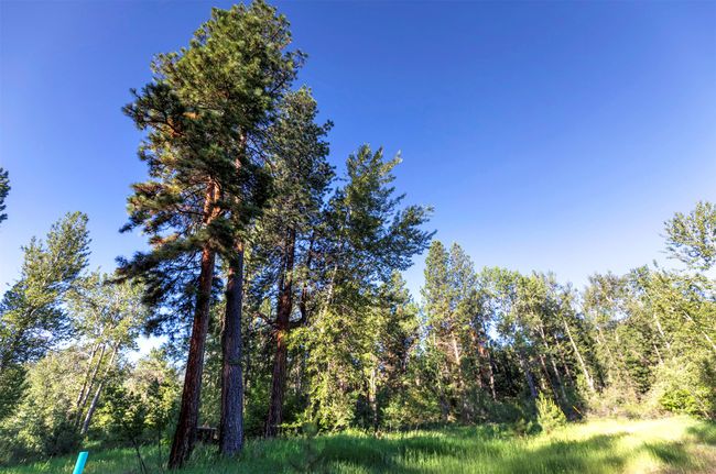 279 Conner Cutoff Rd, Home with 0 bedrooms, 0 bathrooms and null parking in Conner MT | Image 22