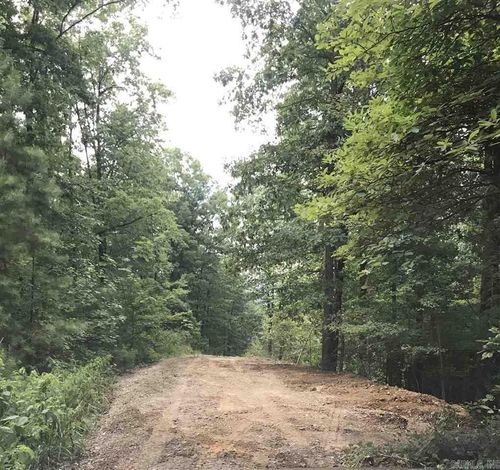 110 Kospelich Ln, Jessieville, AR, 71949-9432 | Card Image