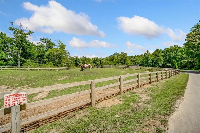 771 Little Hendricks Mountain Rd, House other with 3 bedrooms, 2 bathrooms and 4 parking in Jasper GA | Image 44