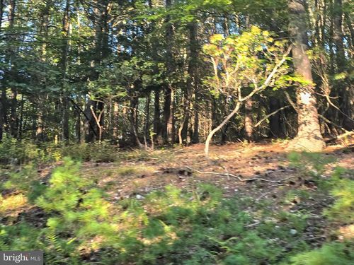 Lot 24 &amp; 27 Native Trout Ln, SUGAR GROVE, WV, 26815 | Card Image