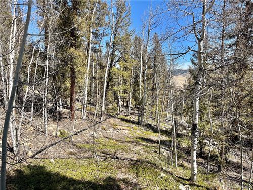 2834 Middle Fork Vis, Fairplay, CO, 80440 | Card Image