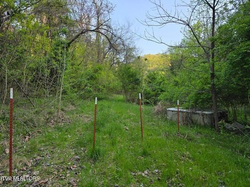 TBD Boatmans Mountain Rd, Morristown, TN, 37814-2167 | Card Image