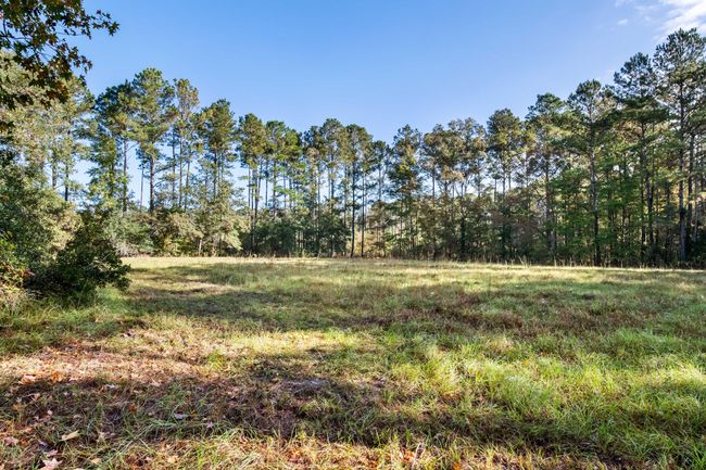 HFL_OSBORNE TRACT-6 | Image 13