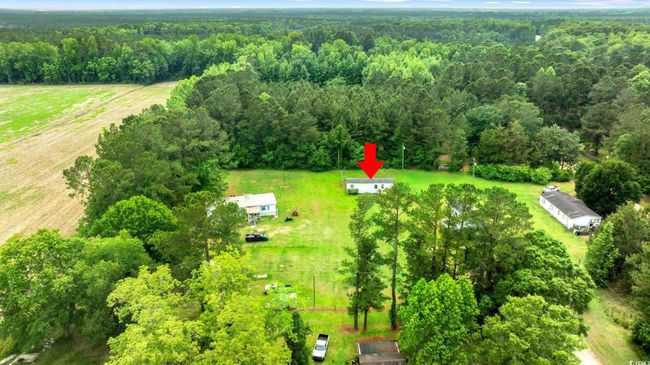 View of rural area featuring a forest | Image 35