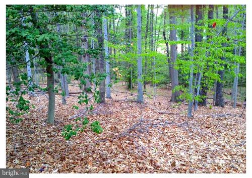 8310 Upper Spring Ln, ANNANDALE, VA, 22003-3721 | Card Image