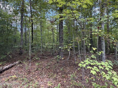 634 Horse Creek Rd, Jamestown, TN, 38556 | Card Image