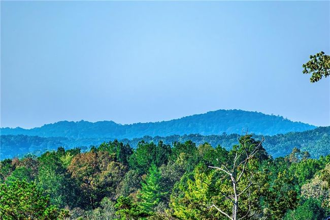 50 Jakes Landing Way S, Home with 0 bedrooms, 0 bathrooms and null parking in Ellijay GA | Image 7
