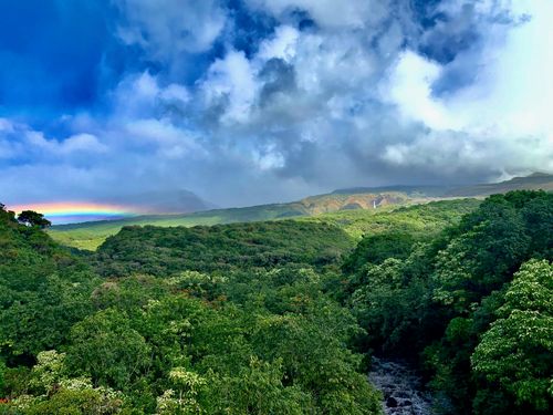 35006 Piilani Hwy, Hana, HI, 96713-3060 | Card Image