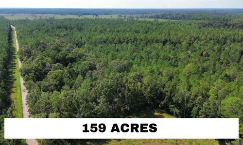 TBD Golden Rd, Springfield, LA, 70462 | Card Image